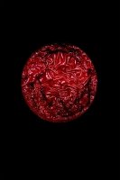Croûte (Encre thypographique) -  Photographie