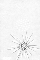 Vitesse lumière - Encre sur papier